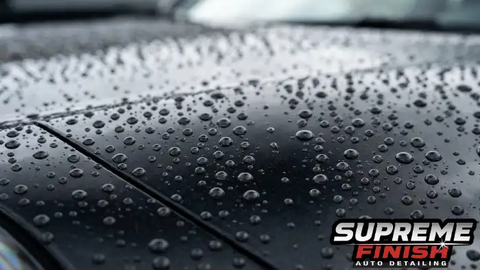 Black Porsche with Ceramic Coating showing hydrophobic properties