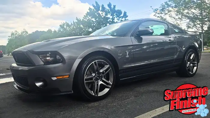 Cobra Mustang