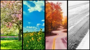 Car Maintenance Calendar for North Carolina Drivers